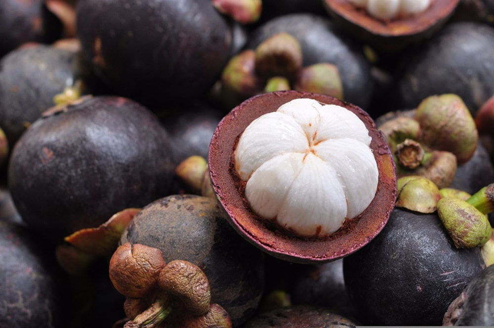 Mangosteen, photo by Taboty from Pixabay.