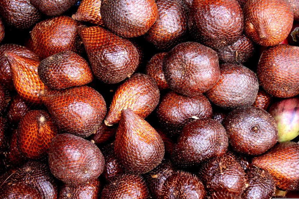 Salak, photo by Steven Bol from Pixabay.