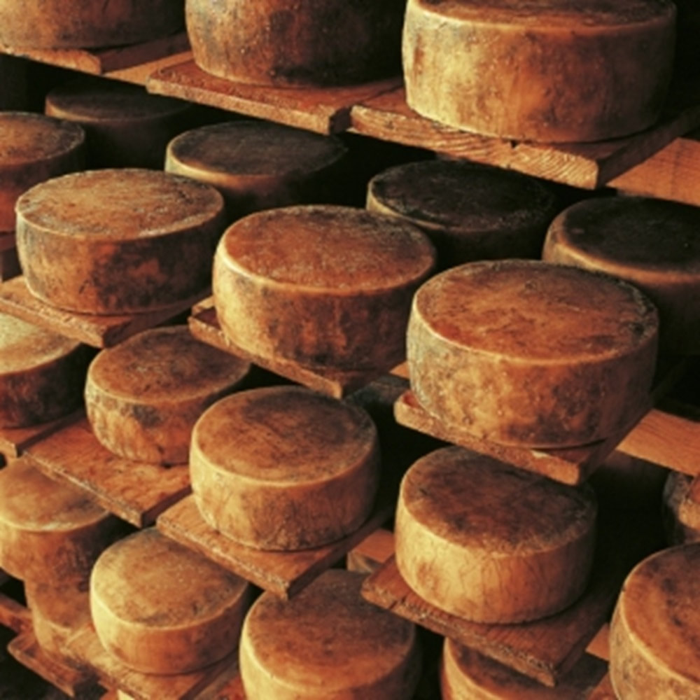 Pag cheese. Photo by Damir Fabijanic.