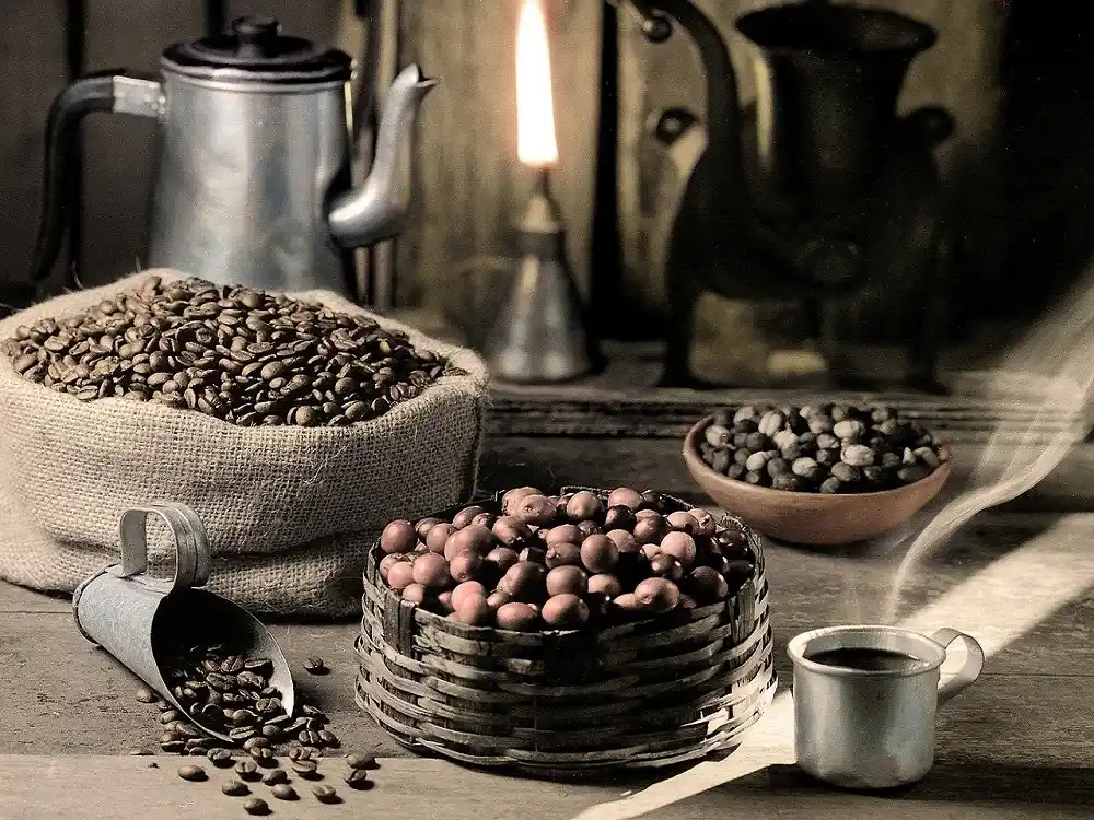 Brazilian coffee beans displayed beside traditional coffee equipment.