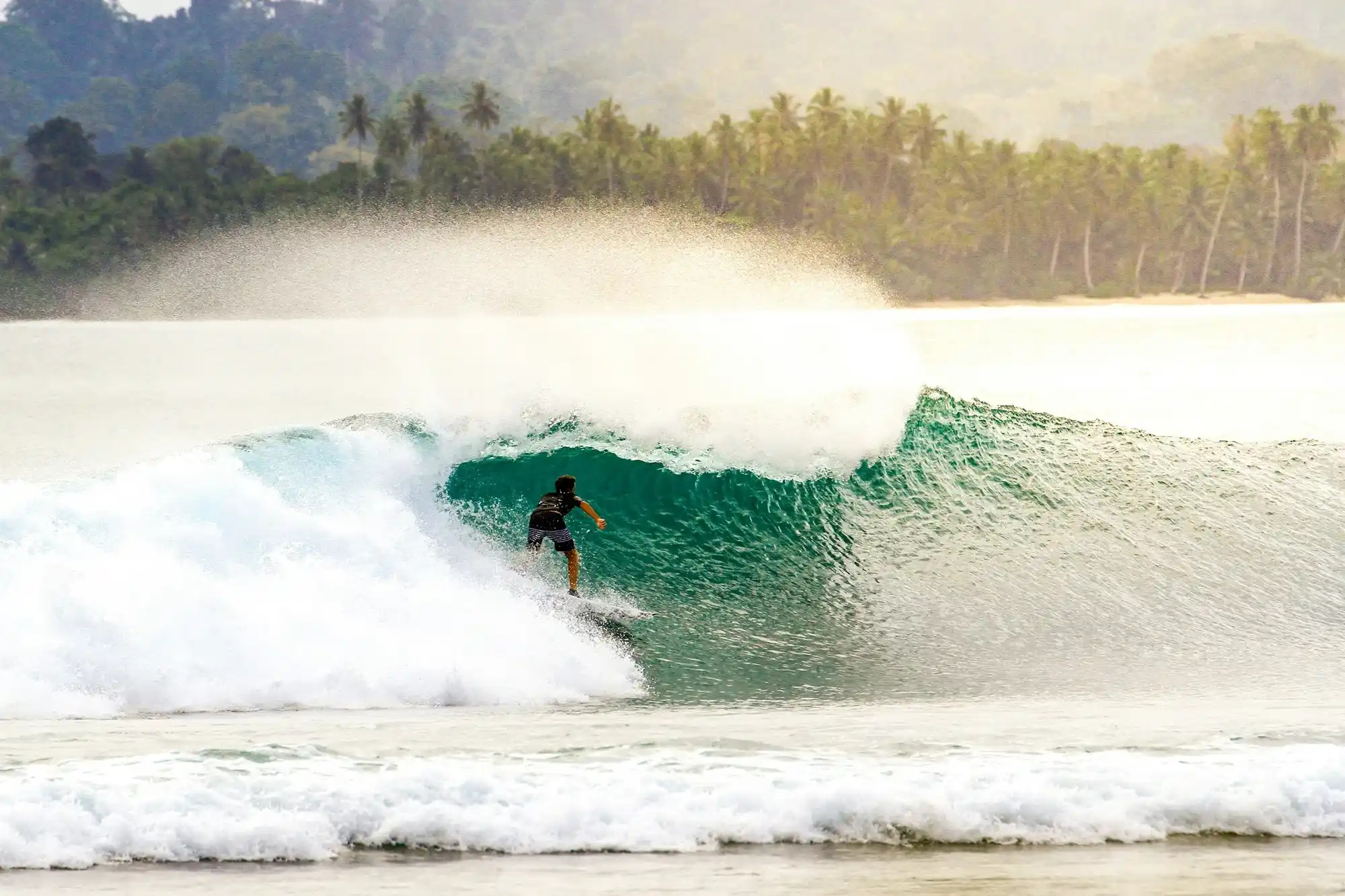Peselancar di dalam tabung ombak hijau di Kepulauan Mentawai, Indonesia, dengan percikan air dan hutan kelapa di belakang.