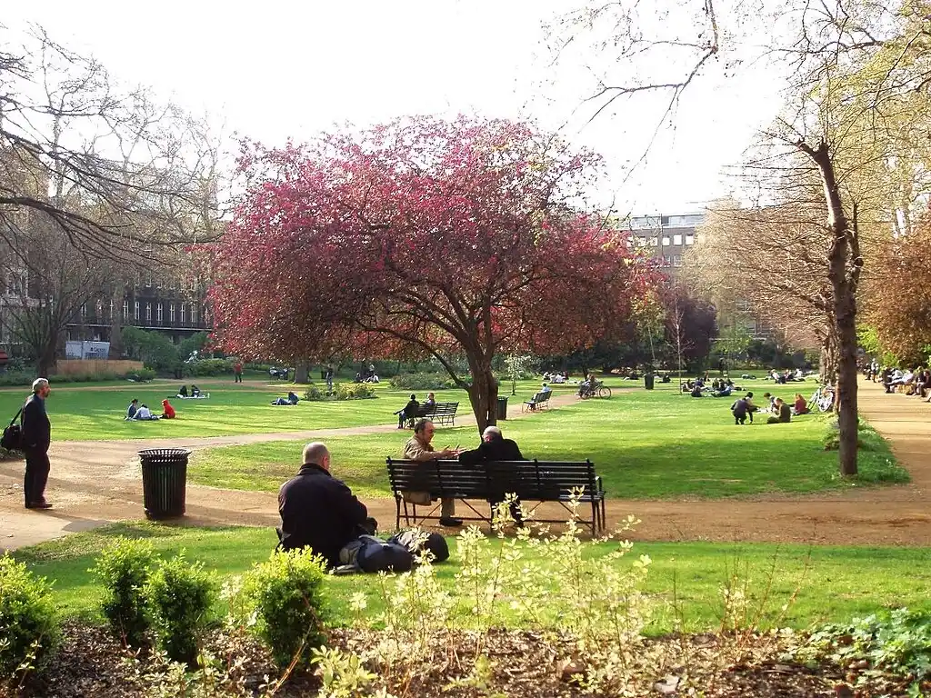 People relaxing in Gordon Square Gardens London with benches, lawn and flowering tree.