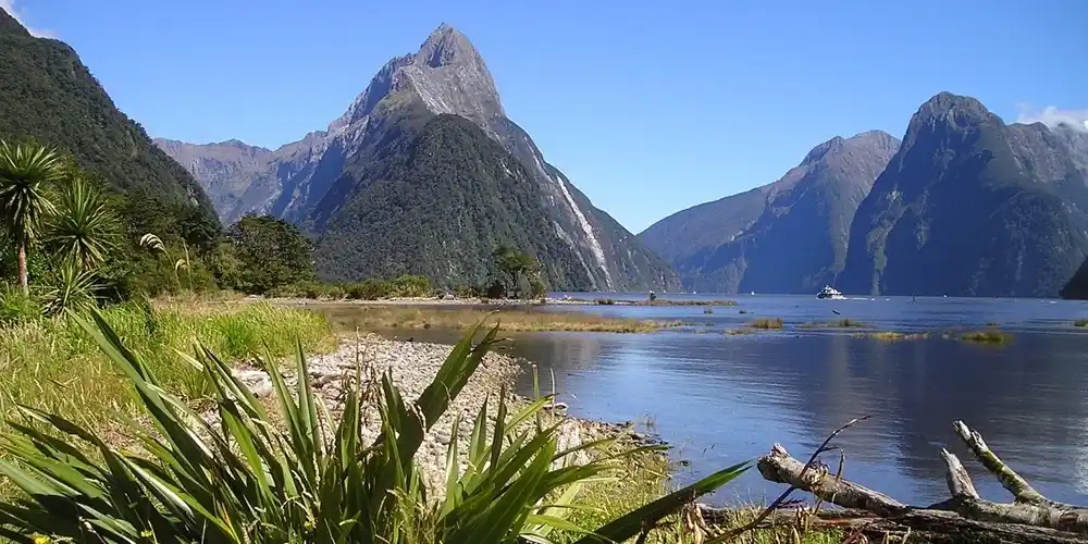 View of Milford Sound in Fiordland National Park, New Zealand, with steep mountain peaks, calm water and lush green vegetation under a clear blue sky.