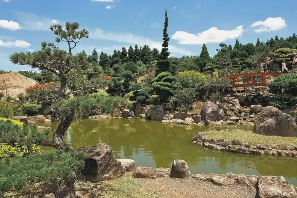 Japanese-style garden with pond and sculpted trees in Itu Brazil.